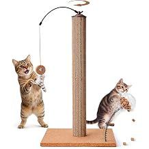 Cat Scratching Post with Snack Ball & Feather Toys for Kitten | Cork & Cardboard Mix Claw Friendly Indoor 26" Premium Durable Nature Kittens for Novice Cat Owner Stable Wooden Base