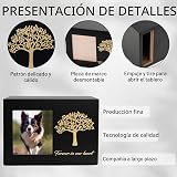 Ver la foto 2