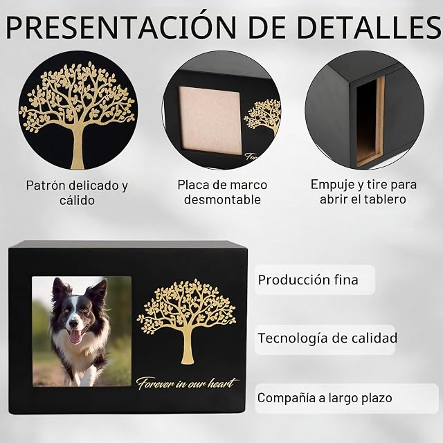 Foto 2 de 8 de DiDiBirDi Urnas para Mascotas para Perro o Gato