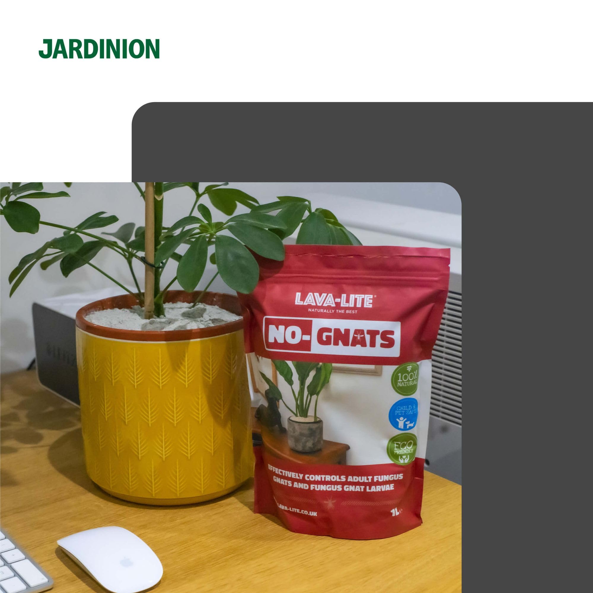 1l Granulés anti-moucherons, 100% naturel, contre mouches dans le terreau
