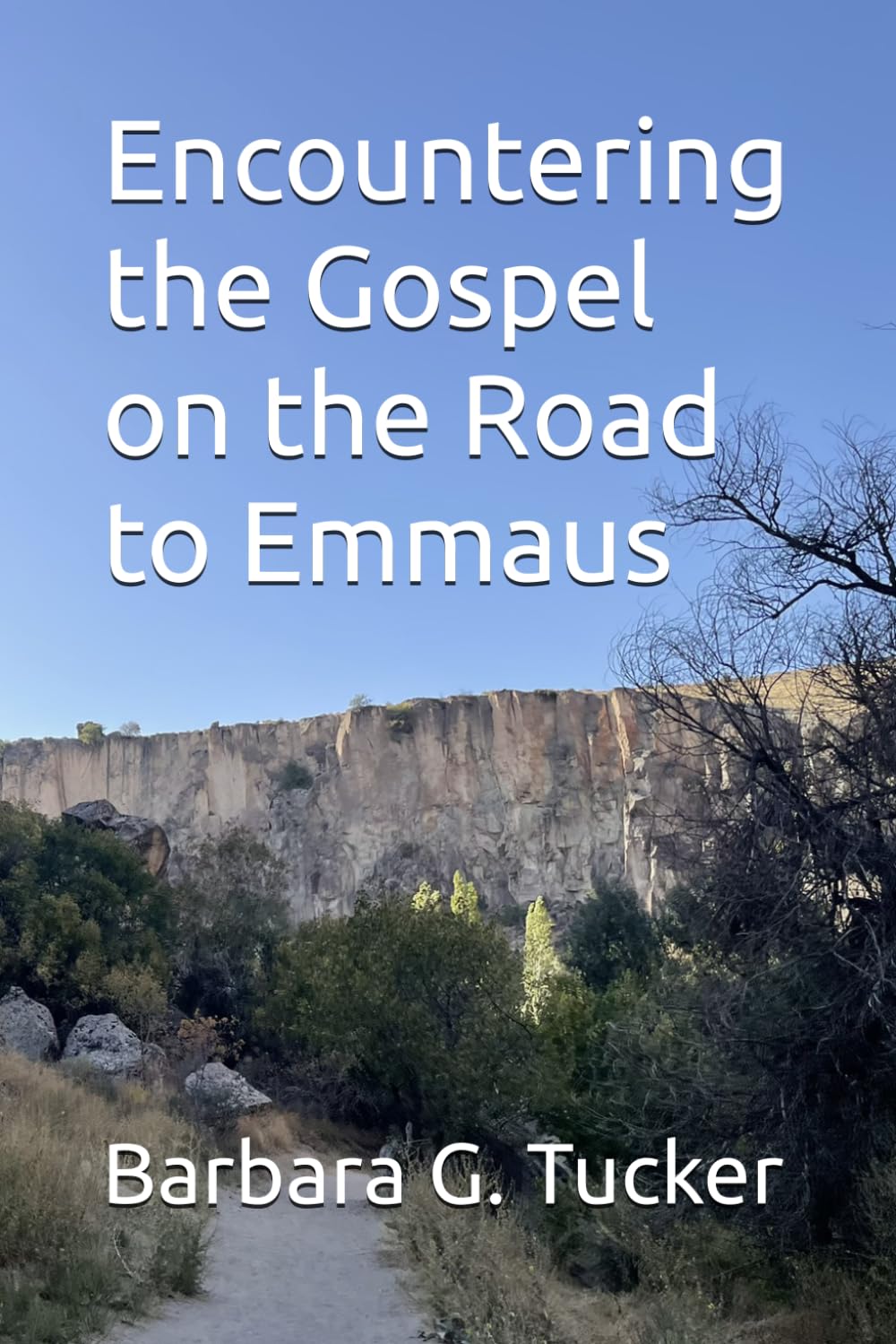 Encountering the Gospel on the Road to Emmaus