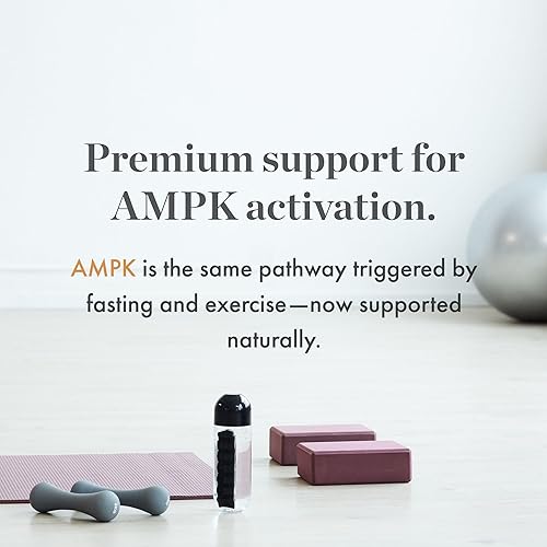 Miniatura 4 de NAOMI Berberina del Himalaya 500 mg, clínicamente estudiada para el apoyo del azúcar en la sangre, función metabólica, peso saludable y colesterol,