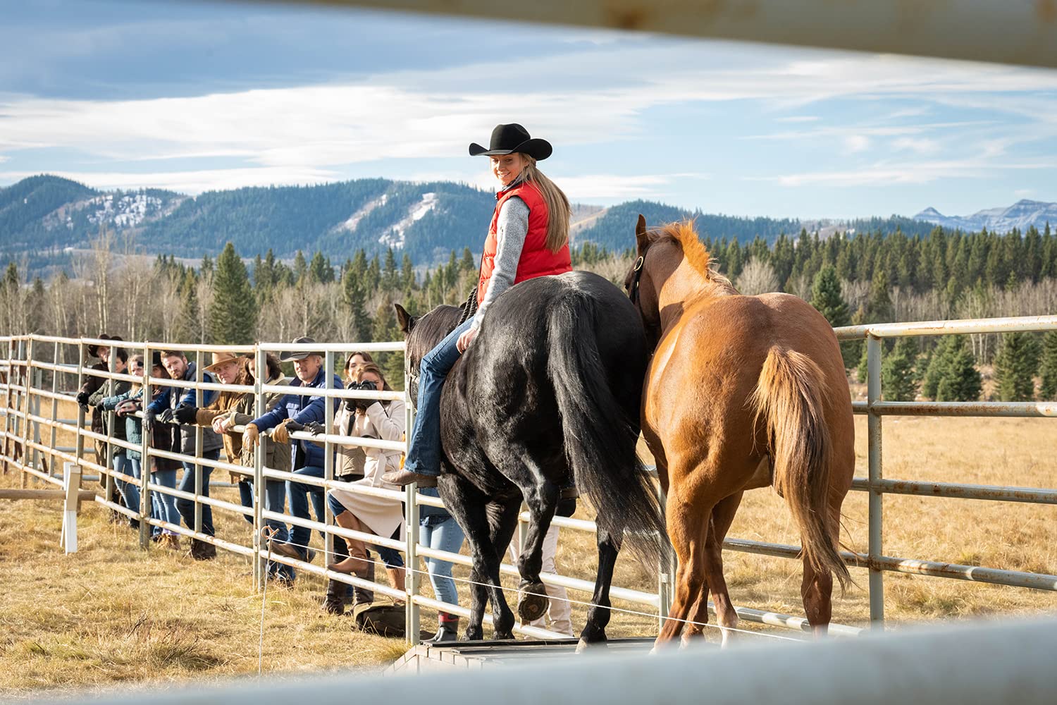 Heartland - Paradies für Pferde - Staffel 14