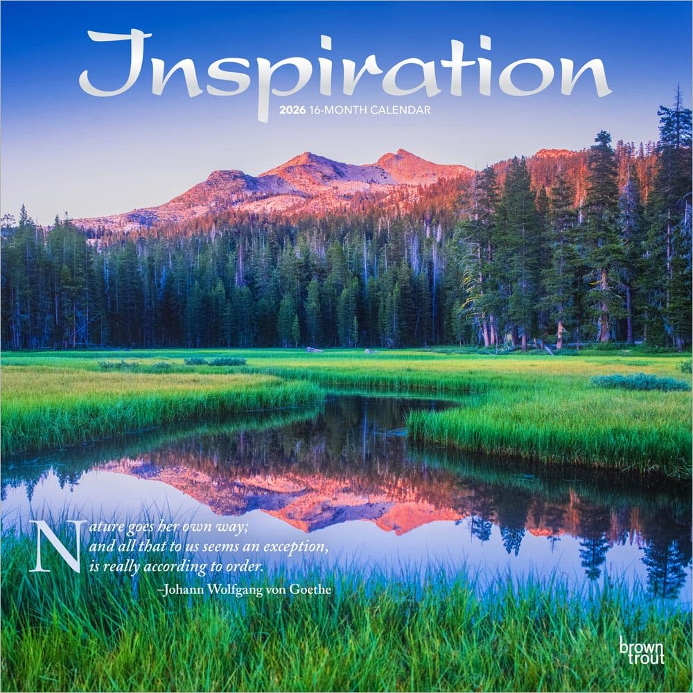 Inspiration | 2026 12 x 24 Inch (Hanging) Monthly Square Wall Calendar | Foil Stamped Cover | Plastic-Free | BrownTrout | Family Self Help Motivation Quotes