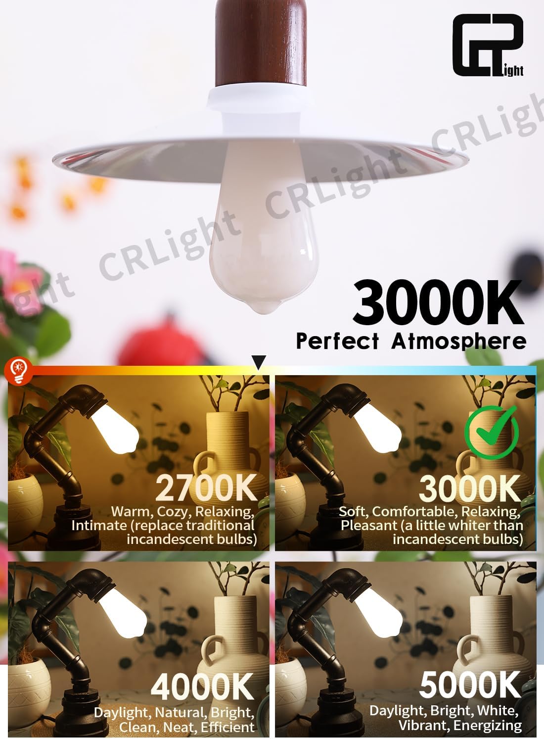 CRLight Dimmable ST58 / ST19 Vintage Opal LED Edison Bulbs,10W = 100W Eqv 1000LM, 3000K Soft White LED Lights, E26 Base, Coated Inside White Milky Glass for Modern Farmhouse, Room, Home Decor, 6 Pack