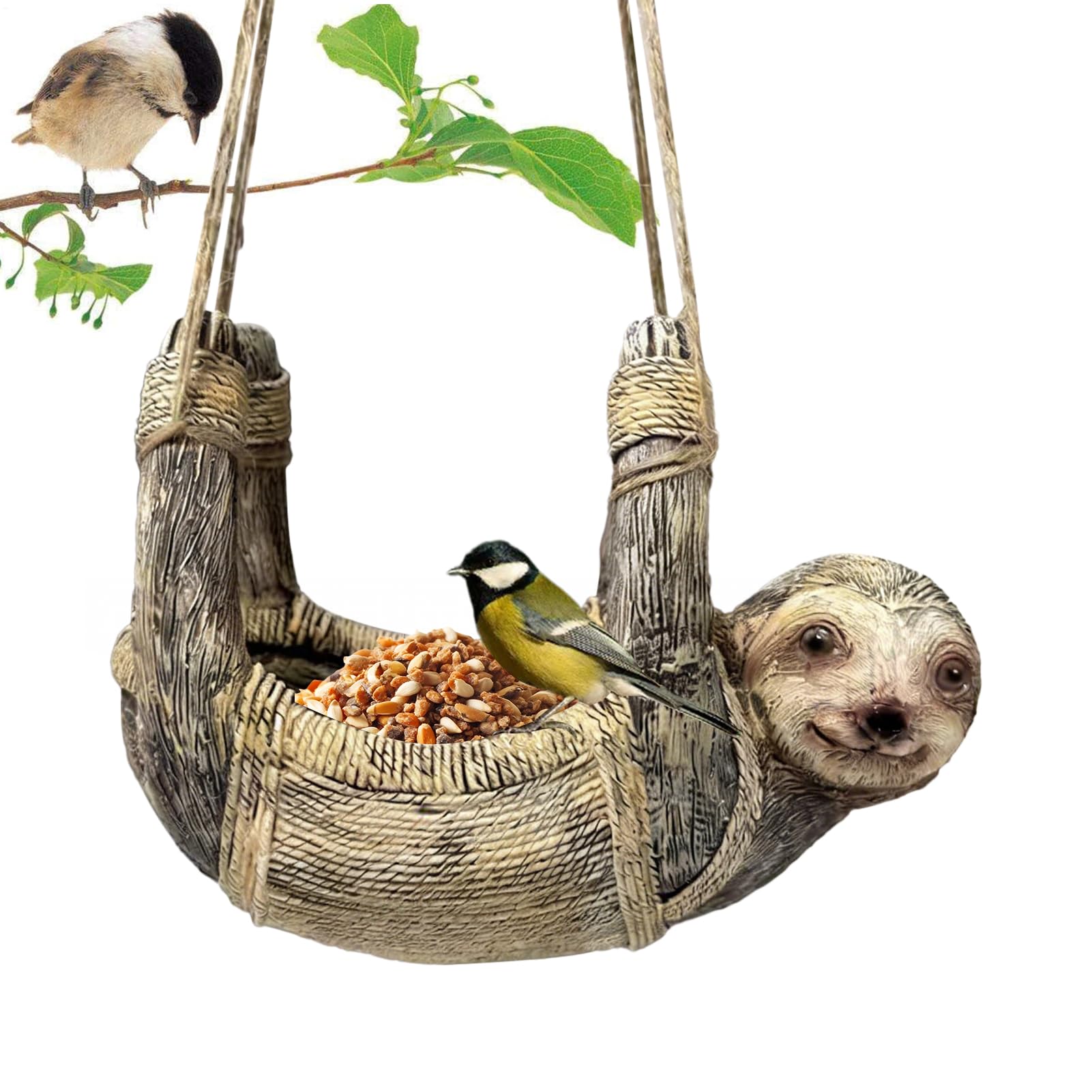 Mangeoire oiseaux paresseux cadeau idéal observateurs faune et nature