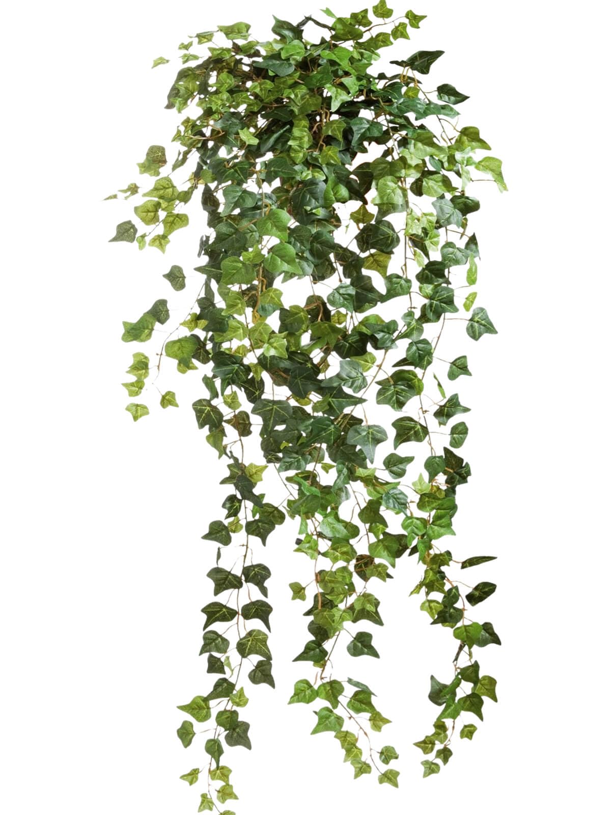 Glicrili 5 Pack Dried Real Green Ivy Vines - 100% Natural Ivy Leaves Greenery Garland for Room Decor, 31.5'' Hanging Plant Vine for Bedroom Aesthetic Wall Garden Wedding Party Decoration