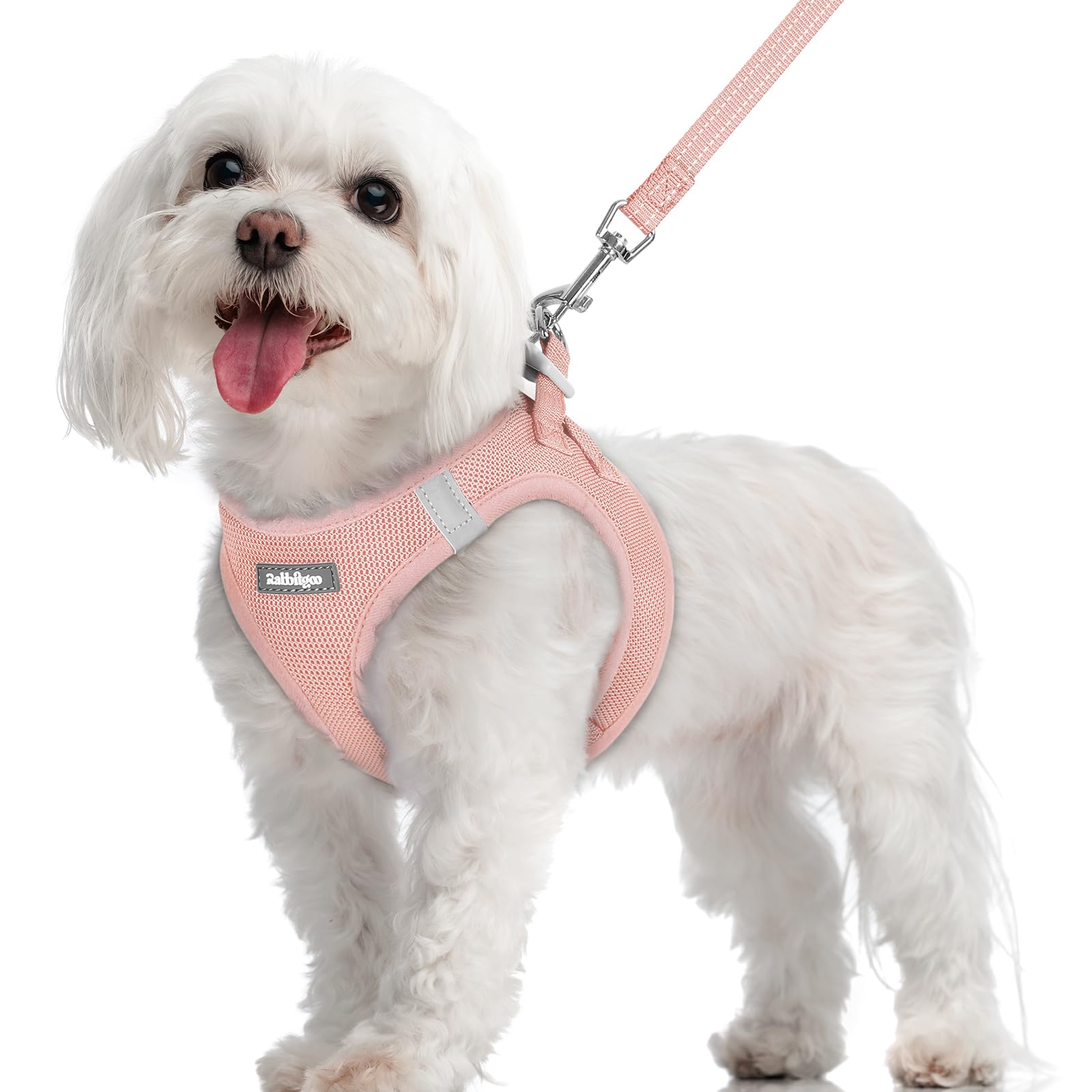 rabbitgoo Dog Harness Small Dog and Leash Set, Step-in Soft Mesh Puppy Harness with Reflective Strips, Lightweight Breathable Pet Vest for Walking Training, Pink, M