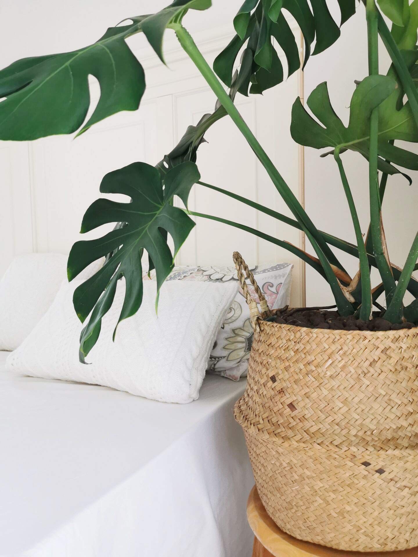 DOKOT Natural Seagrass Mimbre Cesta de Cesteria , Cestos para la Colada con Asa , Cesta Plegable para el Vientre Maceta , Decoracion para el Hogar Almacenar Juguetes, Ropa, Fruta o Plantas