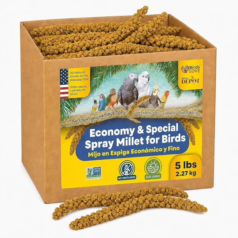 Painço em Espiga para Aves Birds LOVE, Natural e Seco ao Sol, Sem Talos, 2,27 kg