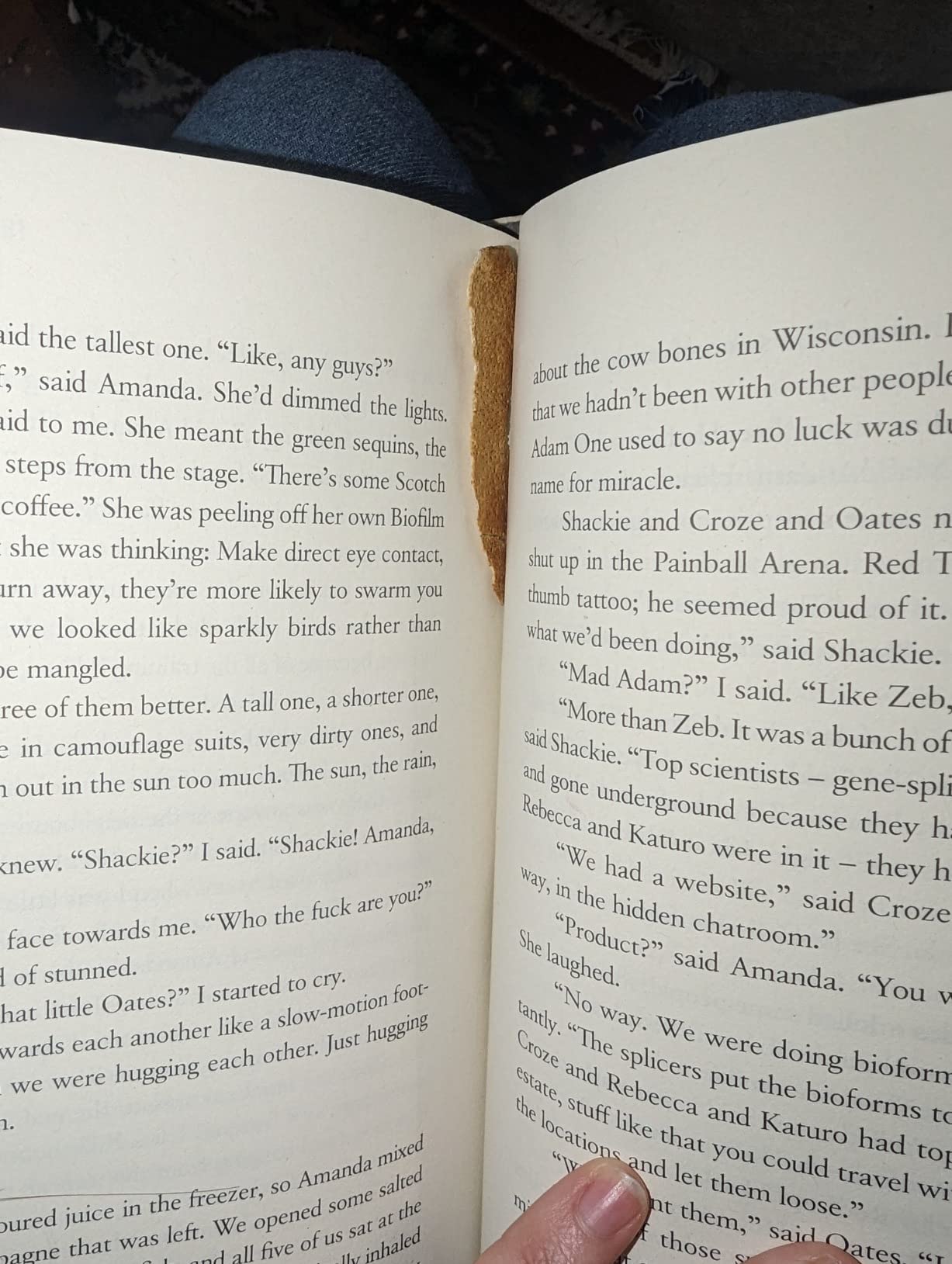The Year of the Flood : Atwood, Margaret: Amazon.ca: Books