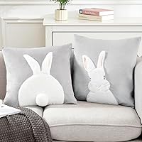 Vista 7 de Paquete de 2 fundas de almohada de primavera y Pascua de 18 x 18 pulgadas, fundas de almohada bordadas en 3D, fundas de almohada decorativas
