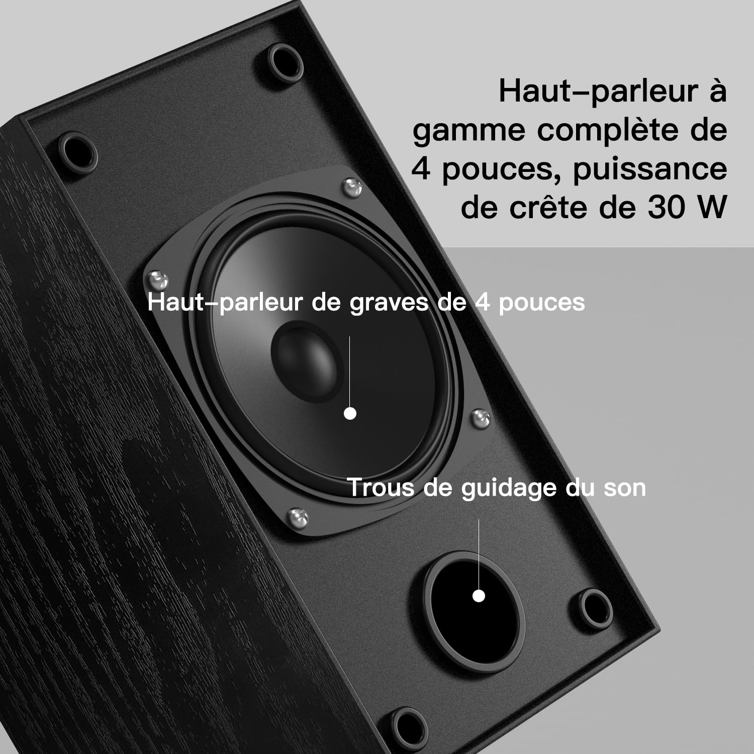 Elimavi Enceinte pour Platine Vinyle & PC - Enceinte Active Bibliothèque 2x30W, Haut-Parleur avec Prise Jack, 4" Woofer Basse, Double Entrée RCA, Structure en Bois, Noir