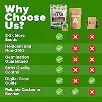 Vista 229 de HOME GROWN Más de 1000 semillas de cilantro para plantar en interiores o exteriores, hierbas tradicionales sin OMG, semillas de plantas de cilantro