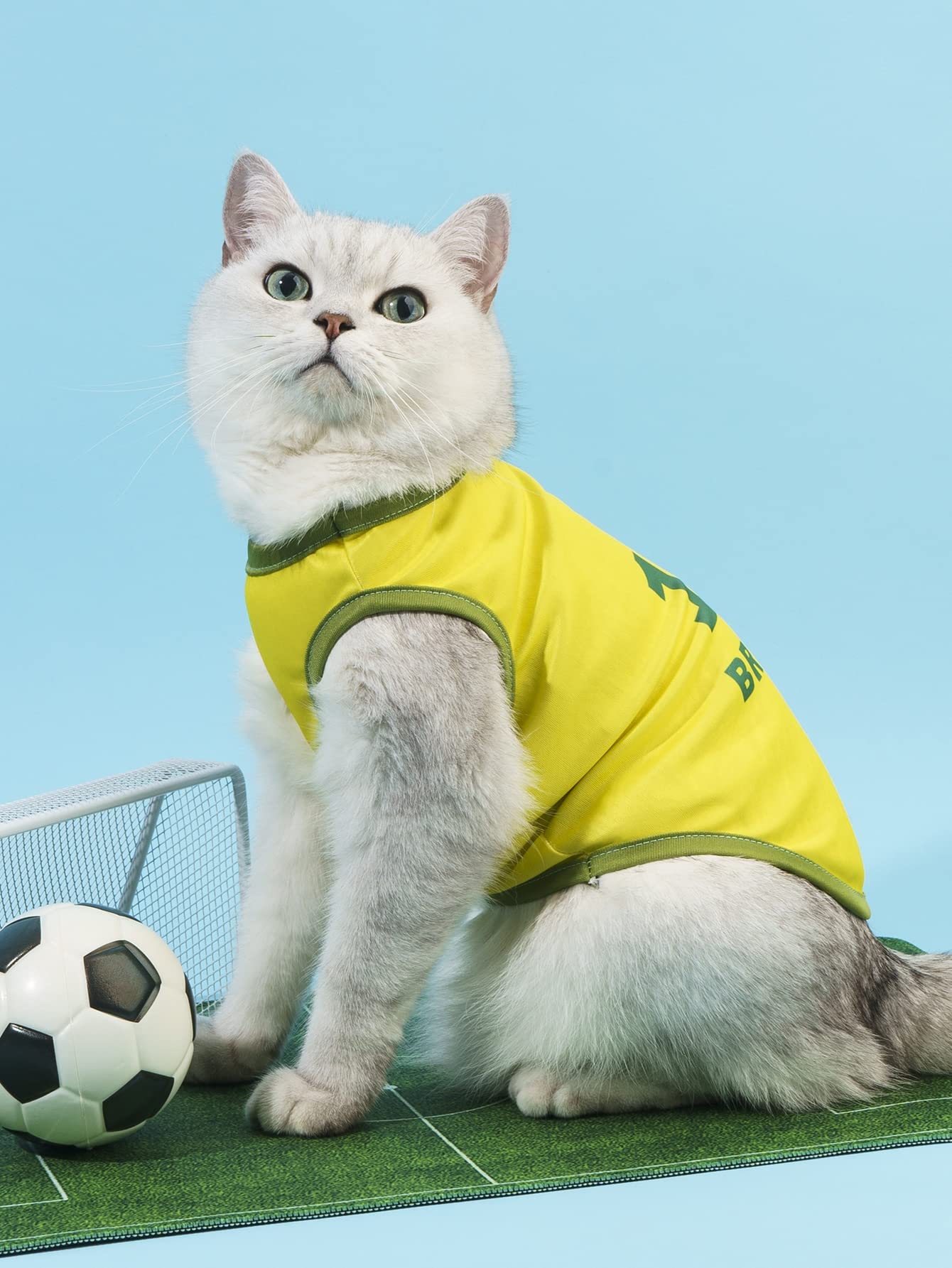 Cat Wearing Cat Football Kit Soccer Jersey Dog Wearing Football
