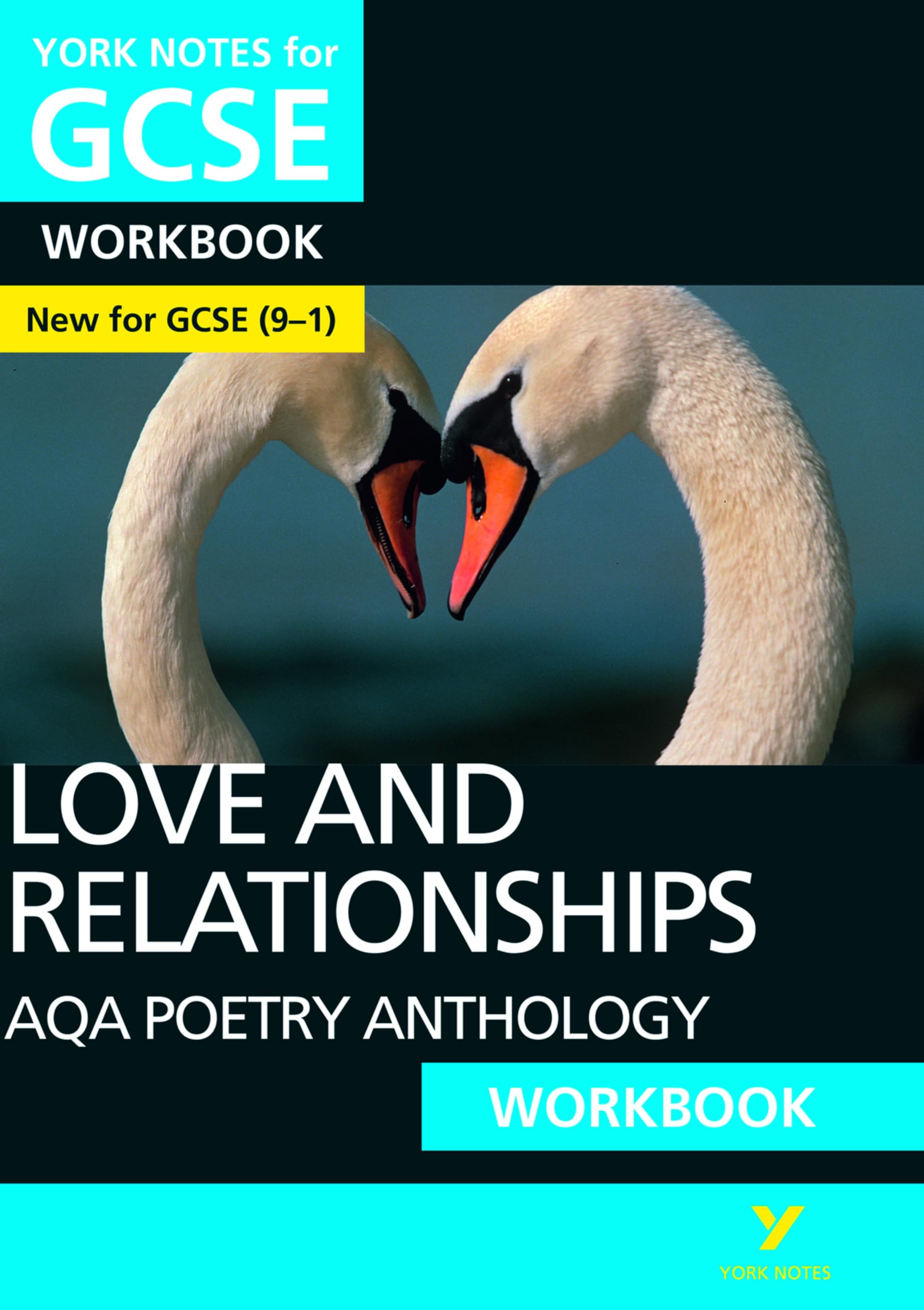 Mary Green AQA Poetry Anthology Love & Relationships York Notes for GCSE Workbook
