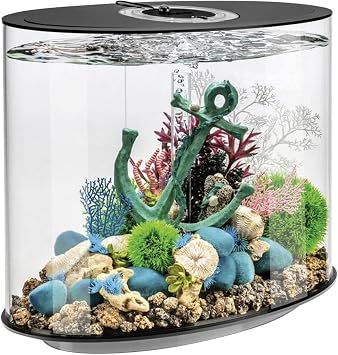 biOrb Black Loop 30 Aquarium with MCR Light, 8 Gallon