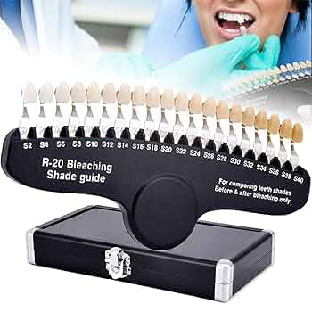 人工歯　シェードガイド 歯科複合歯シェードガイド | 巨大な歯科