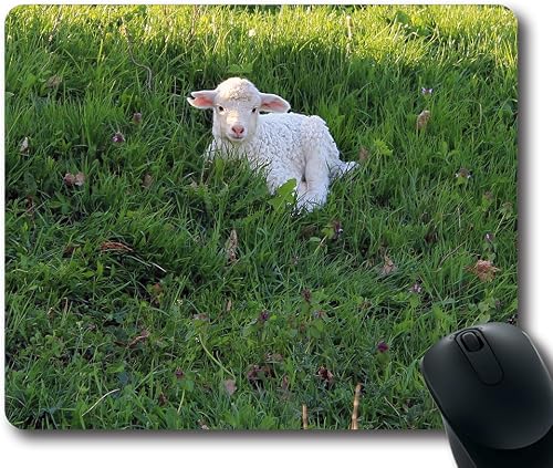 Gaming Mouse Pad Oblong Shaped 100 lamb animal Mouse Mat Design Natural Eco Rubb
