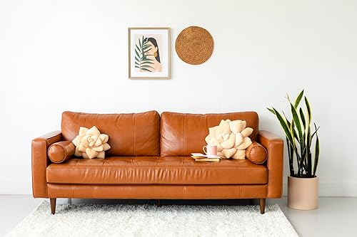 Miniatura 3 de Big Pop Succulent Blush Peach almohada de hoja decorativa para cama, flores, decorativa, bonita almohada ideal para amantes de las plantas, amigos y