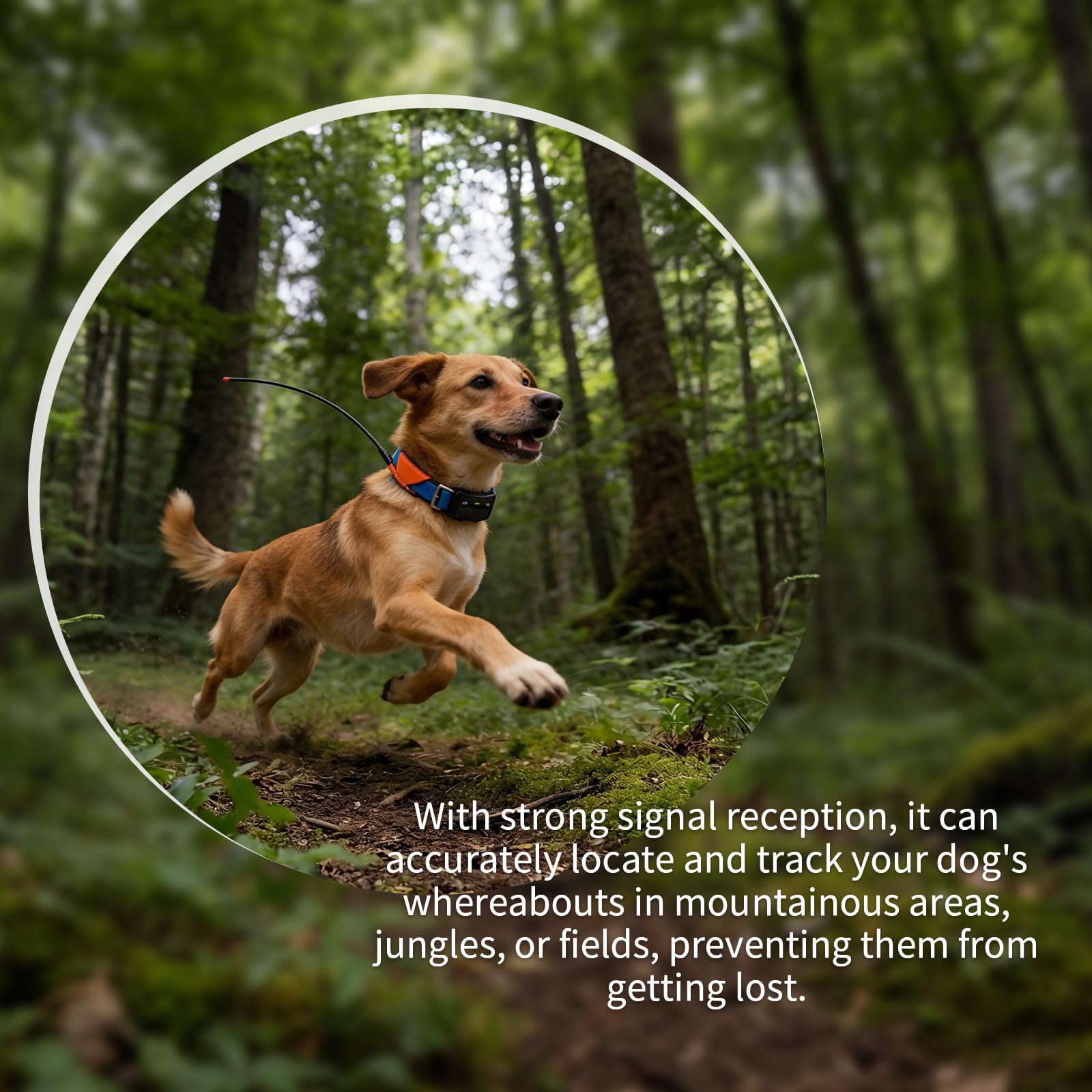 Hsei 3 antenas de repuesto estándar VHF de largo alcance compatibles con Garmin T20, TT25, T5, TT10, TT15, DC50, TB10, dispositivo de collar de perro, color negro