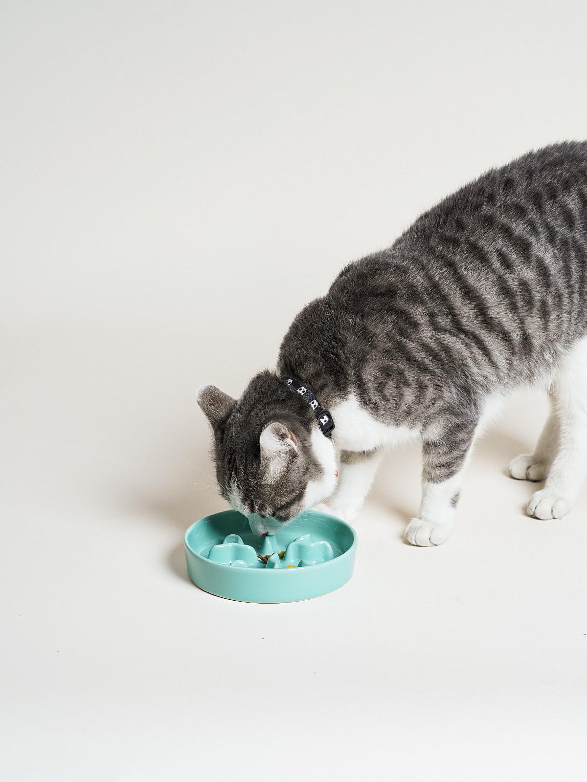 Cuencos de cerámica de alimentación lenta para perros de raza pequeña, plato de comida para perros de 0.5 tazas para comedores rápidos, cuenco de rompecabezas para perros y gatos pequeños, 5.5
