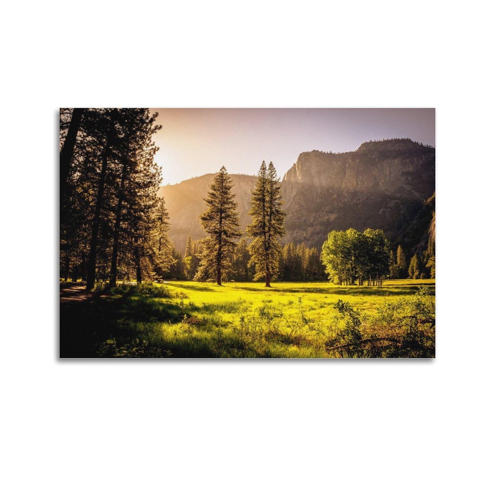 CXHJCA Mural Nature Poster Green Grass Field And Green Trees Scenery Poster Decorative Painting Canvas Wall Posters And Art Picture Print Modern Family Bedroom Decor Posters 20x30inch(50x75cm)