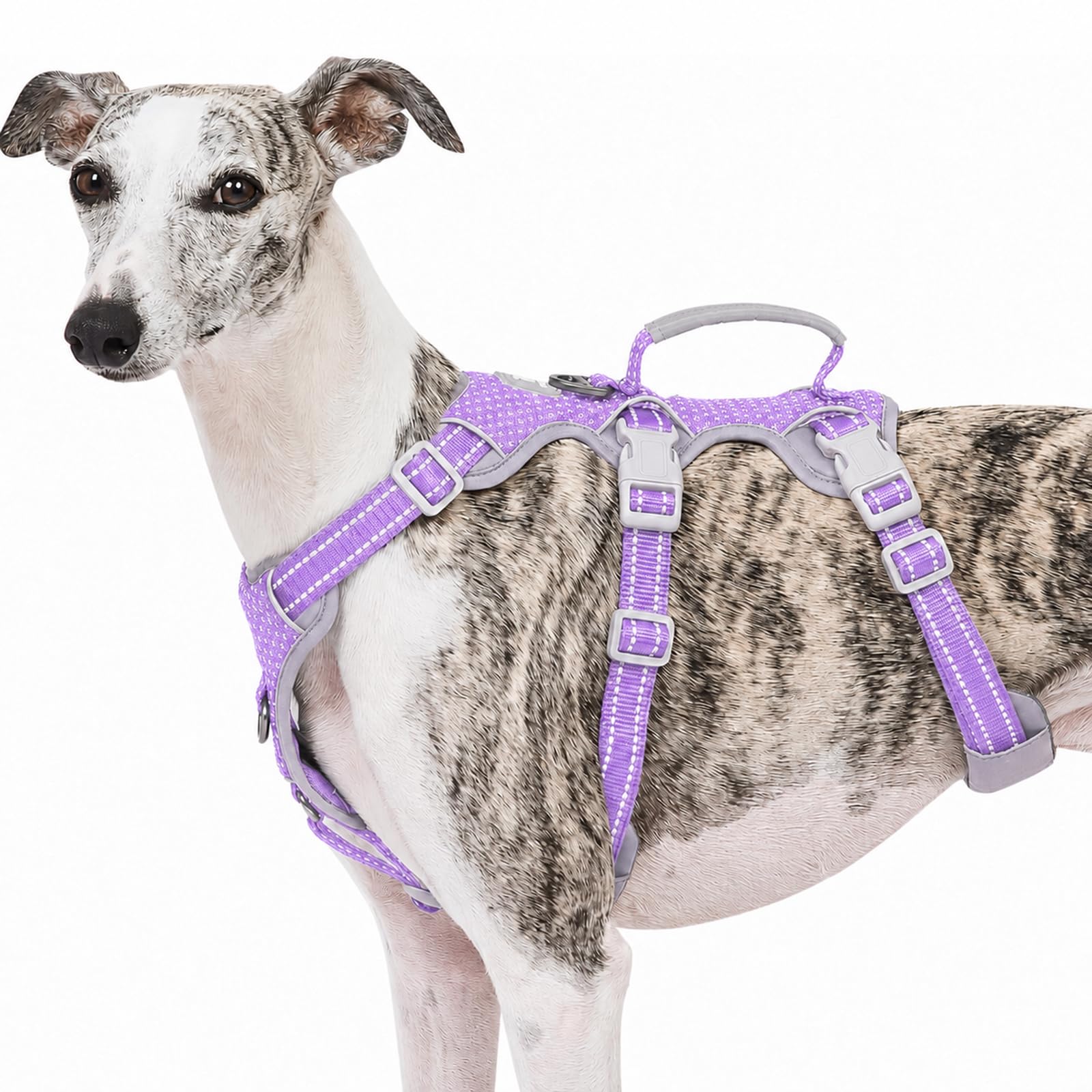 Escape Proof Dog Harness, No Pull Reflective Harness with Lift Handle,Adjustable Pet Vest with Front and Back Leash Clips for Small Medium Large Dogs Walking Hiking Training(Lavender Purple,L)