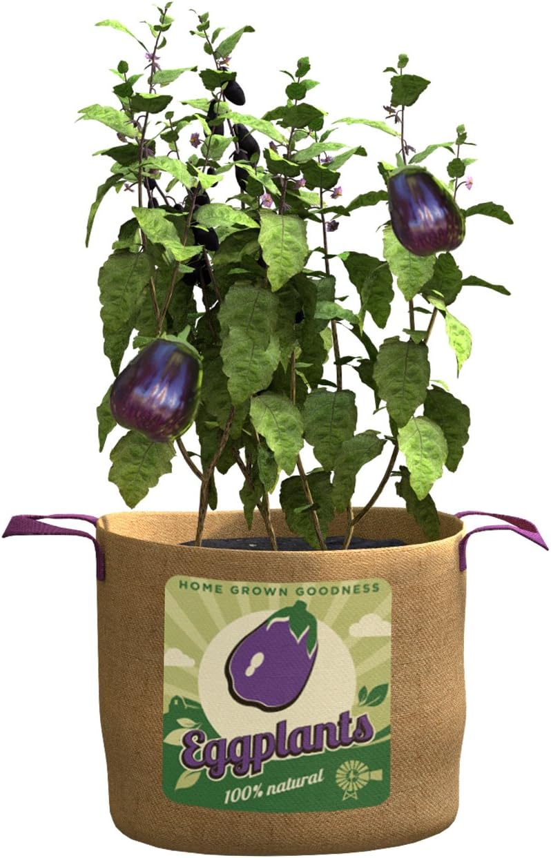 15 gallon Eggplants Grow Bag