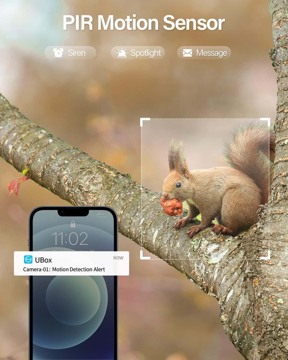 PIR motion sensor detection and phone alert