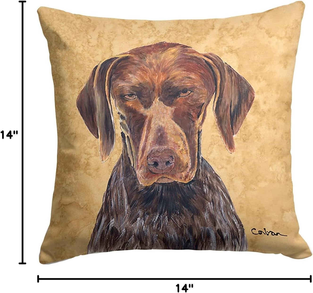 Caroline's Treasures SC9117PW1414 German Shorthaired Pointer Wipe Your Paws Fabric Decorative Pillow Machine Washable, Indoor Outdoor Decorative Pillow for Couch, Bed or Patio, 14Hx14W
