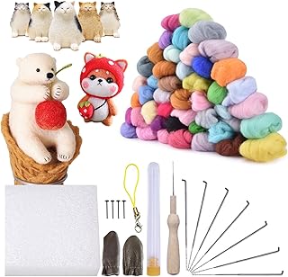 BCMRUN Needle Felting Kit Felting Wool,20 Colours Each 5 Grams,Felting Wool for Knitting for Felting Wool Dry Felting and Felting Wool Wet Felting,Basic Tools and Accessories for DIY Beginners