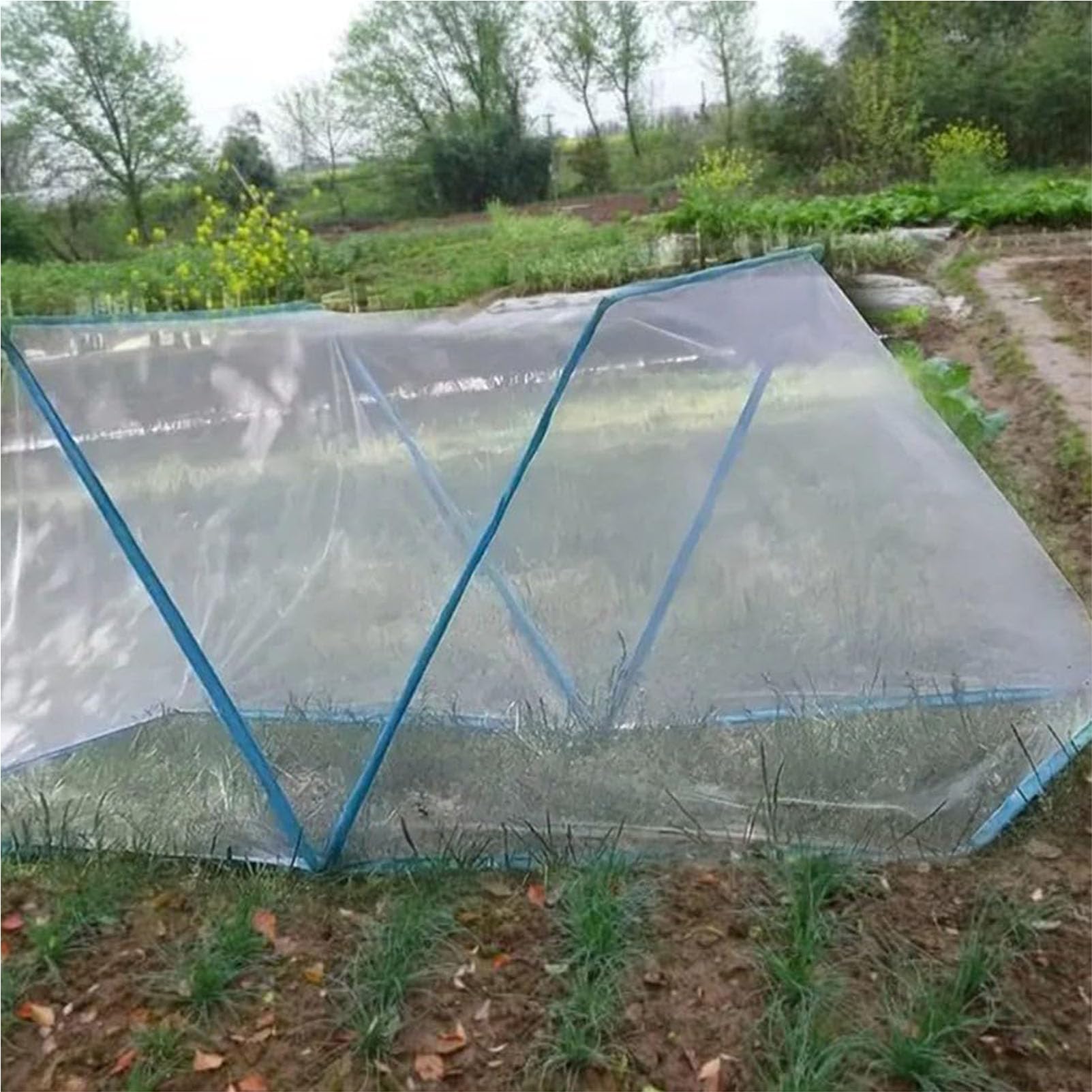Zanzariera Portatile, zanzariera Pieghevole Senza Installazione, Copertura per Piante Resistente, zanzariere per dormitori per Studenti,Blue (b),65 * 120 * 55cm