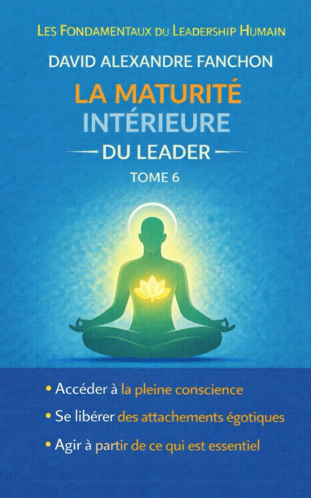La maturité intérieure du leader: Relier leadership, conscience et présence (Collection : Les Fondamentaux du Leadership Humain)