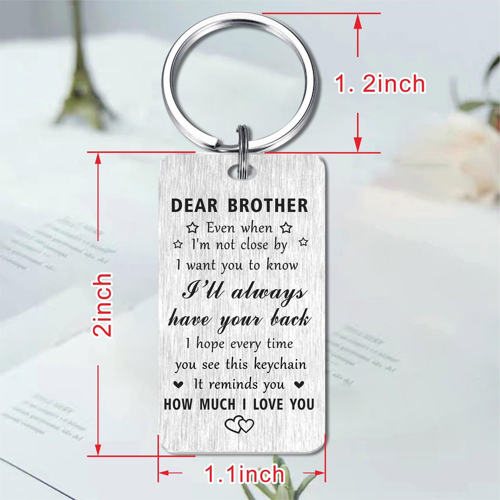 Jzxwan Brother Fathers Day Keychain Gifts from Sister, I Love You Brother Birthday Graduation Keychain, I Will Always Your Back Gifts for Men