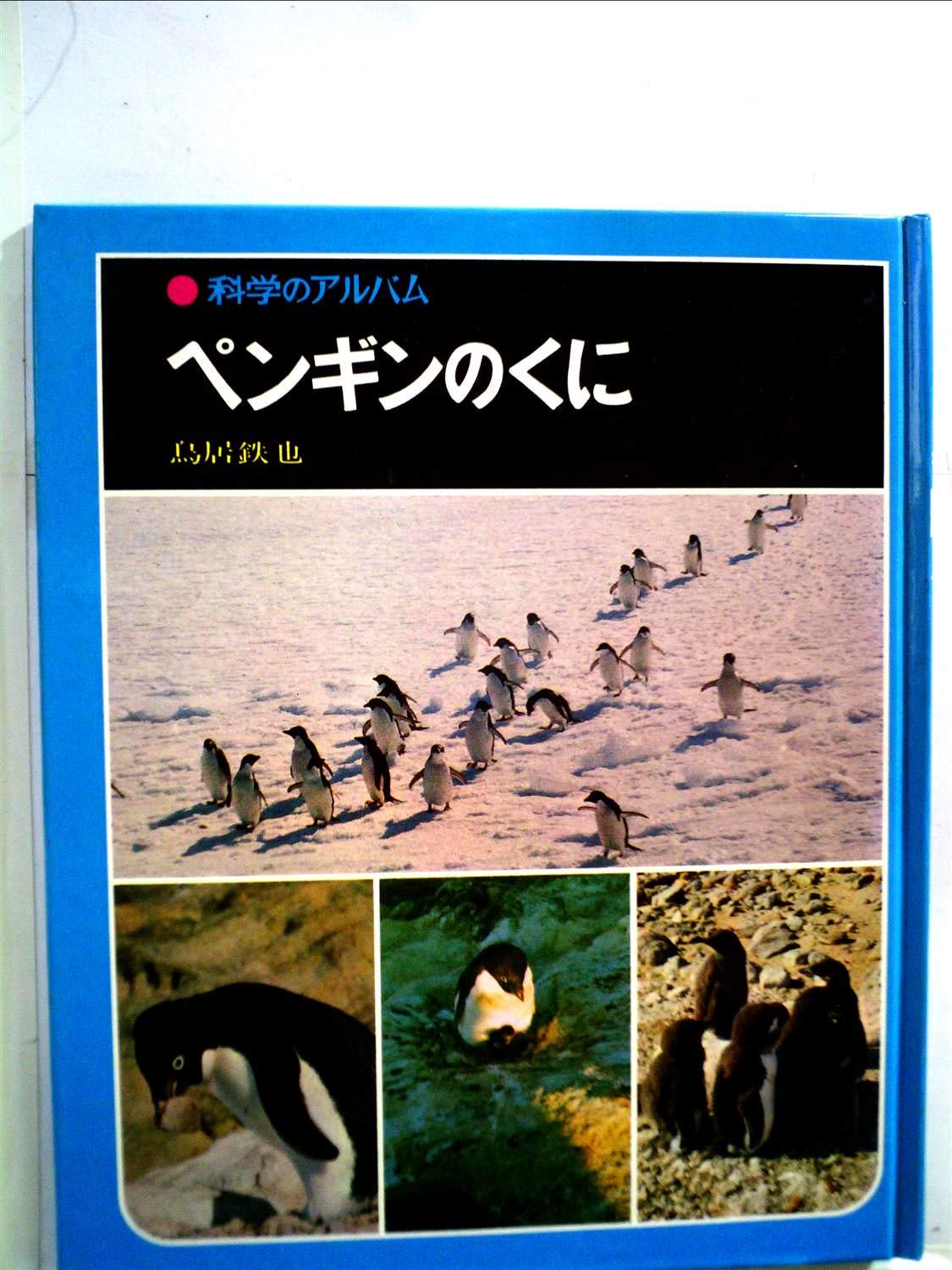 ペンギンのくに (科学のアルバム 18) | 鳥居 鉄也 |本 | 通販 | Amazon
