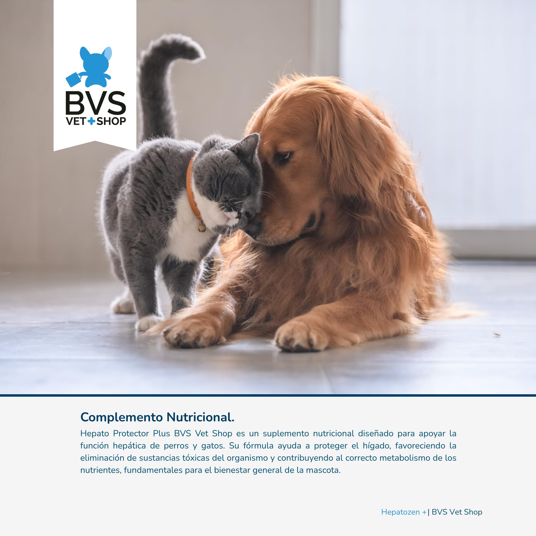 BVS Vet Shop | Hepato Protector Plus 40 Comprimidos para Perros y Gatos | Ayuda a la función hepática de tu Perro o Gato | 200/50 - Razas Medianas y Grandes