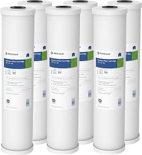 Pentair Pentek RFC-20BB Big Blue Carbon Water Filter, Whole House Heavy Duty Radial Flow Carbon Replacement Cartridge with Granular Carbon (GAC) Filter, 20" x 4.5", 25 Micron, Pack of 6, White