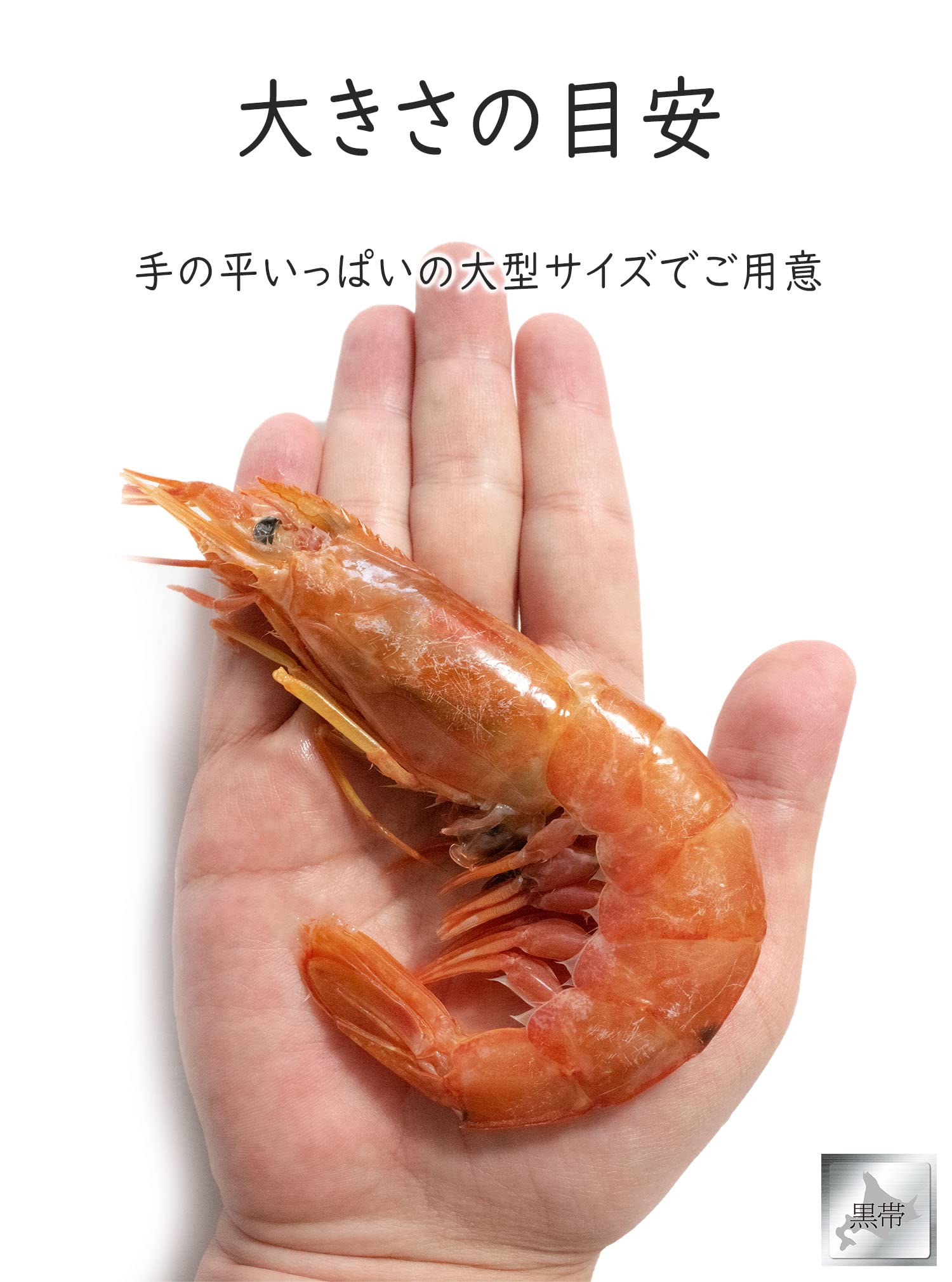 Amazon.co.jp: 赤エビ 大えび 有頭 殻付きLサイズ お刺身 お寿司 海鮮