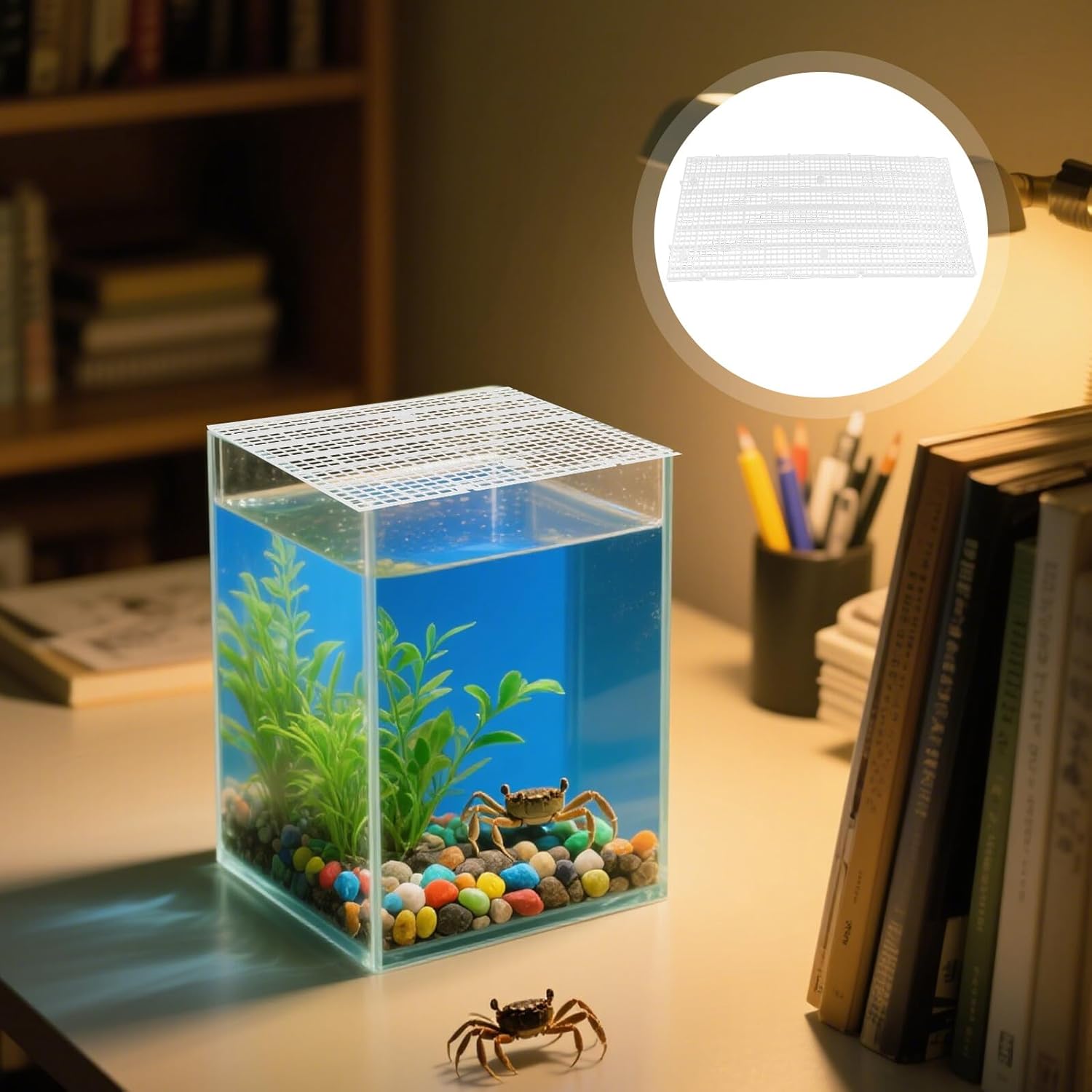 10pcs Plastic Tank Divider Mesh Panels 30x15cm Aquarium Bottom Tray Egg Crate Grid for Fish Tank Territory Separation and Breeding Compartment