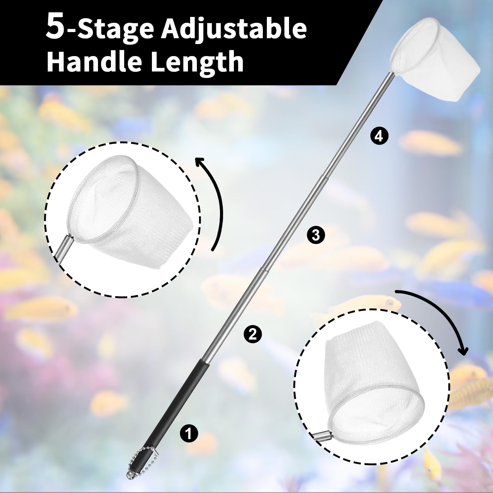 Amazon.com: 2 PCS Aquarium Shrimp Net, 2 Inch Small Fish Nets for Fish Tank  with Long Extendable Stainless Steel Handle, Round Fine Mesh Net for Fishes  Shrimp Tank Pond Creek Food Residue