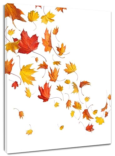 LB Fall Leaf Wall Art For Bathroom Falling Red Orange