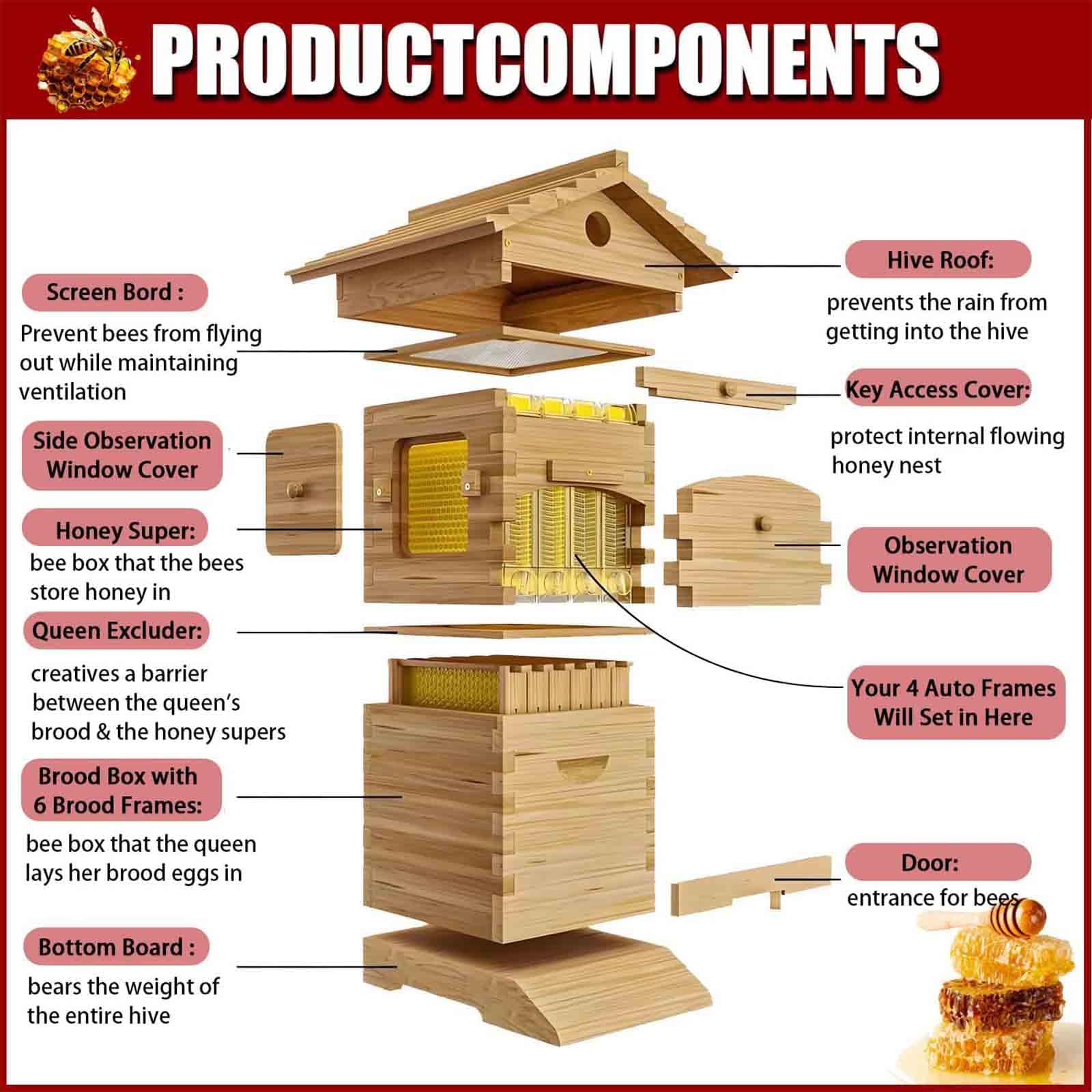 Kit per Principianti di Arnie, arnia Flow Hive, Set Completo di Arnie rivestite in Cera con Dispositivo di Estrazione del Miele, per Apicoltura, impollinatori da Giardino,A