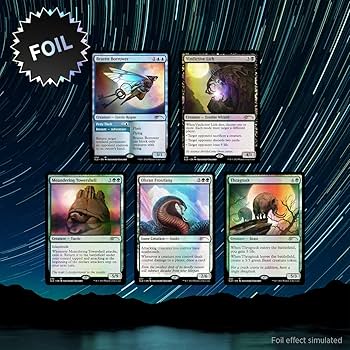 Amazon.com: Magic TCG The Gathering Secret Lair Premium Foil