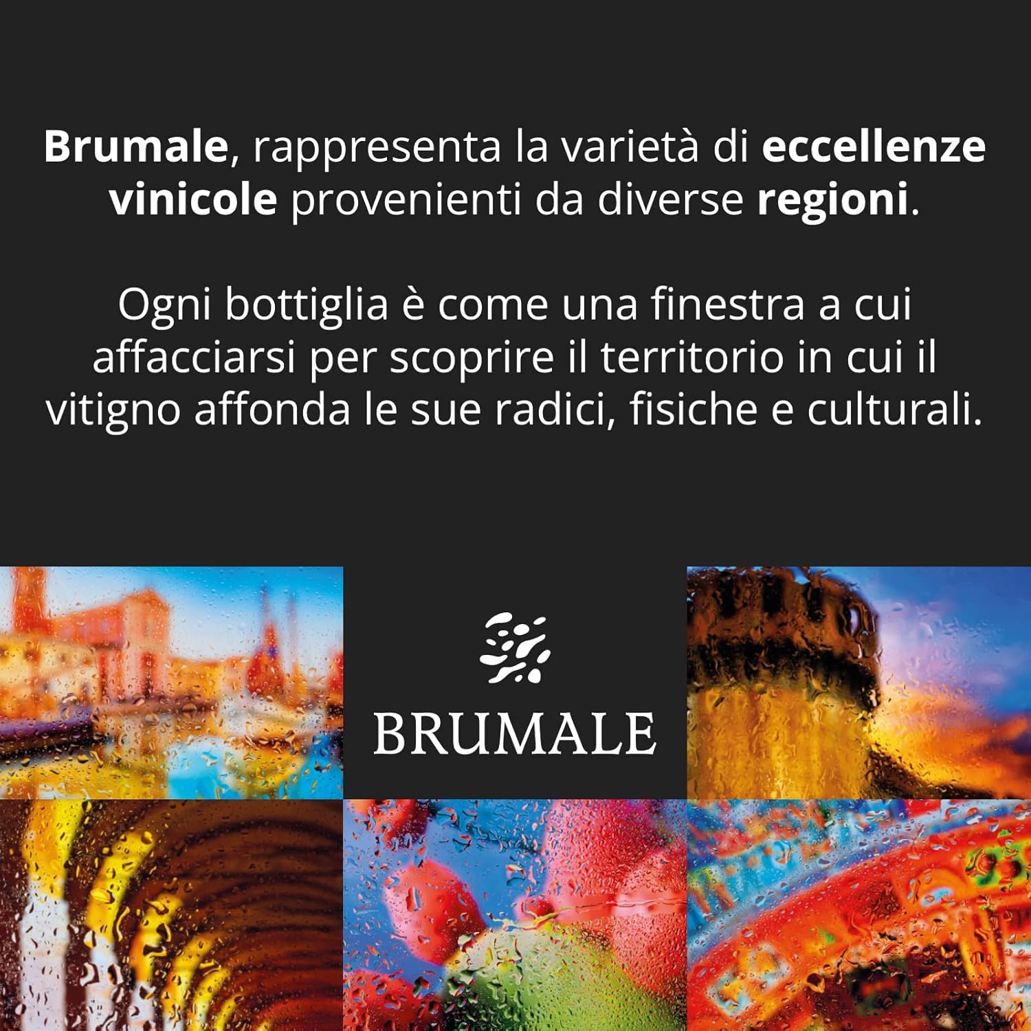 Brumale - Vino Rosso Nero D'Avola Sicilia DOC - Bottiglia da 750 ml