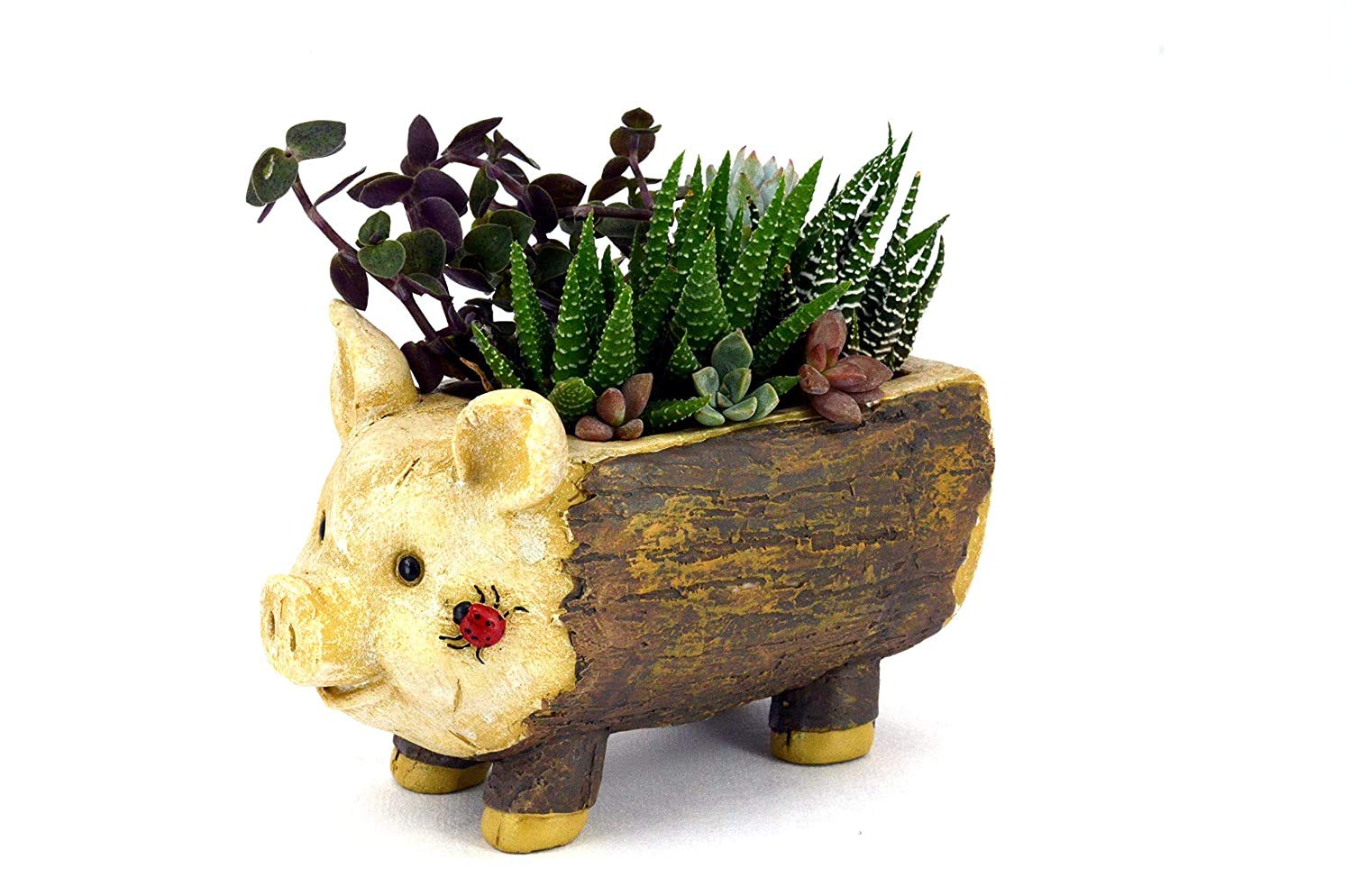 See full amazon price history chart for Brotherhood Enterprise Baby Pig Animal Design Cartoon Thyme Unique & Trendy Succulent Imported Resin/polyresin Pots Succulent Planter, Planter for Home and Garden Decor Balcony Gifting, Without Plant Brotherhood Enterprise Baby Pig Animal Design Cartoon Thyme Unique & Trendy Succulent Imported Resin/polyresin Pots Succulent Planter, Planter for Home and Garden Decor Balcony Gifting, Without Plant (B08BKR5SDT) Amazon Price History, Amazon Price Tracker