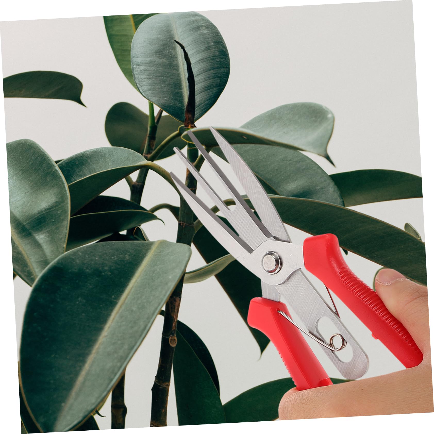 ifundom 5stücke Gartenpflege Schere Ergonomische Pflanzenschneider Mit Für Effektives Beschneiden Von Obst Und Langlebig Komfortabel Für Gartenliebhaber