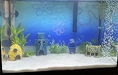 Review Image by Summer Ritter Summer Ritter