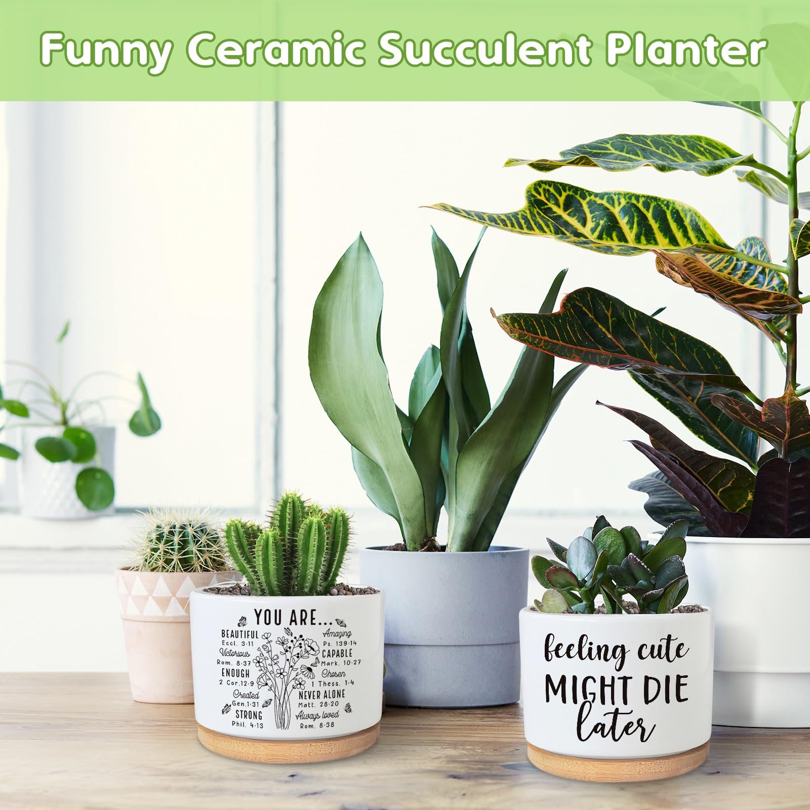 PZJIEAN Divertidas macetas suculentas, bonita maceta pequeña de cerámica de 3.5 pulgadas con drenaje, divertida maceta para cactus suculentas, regalos inspiradores de agradecimiento para los amantes