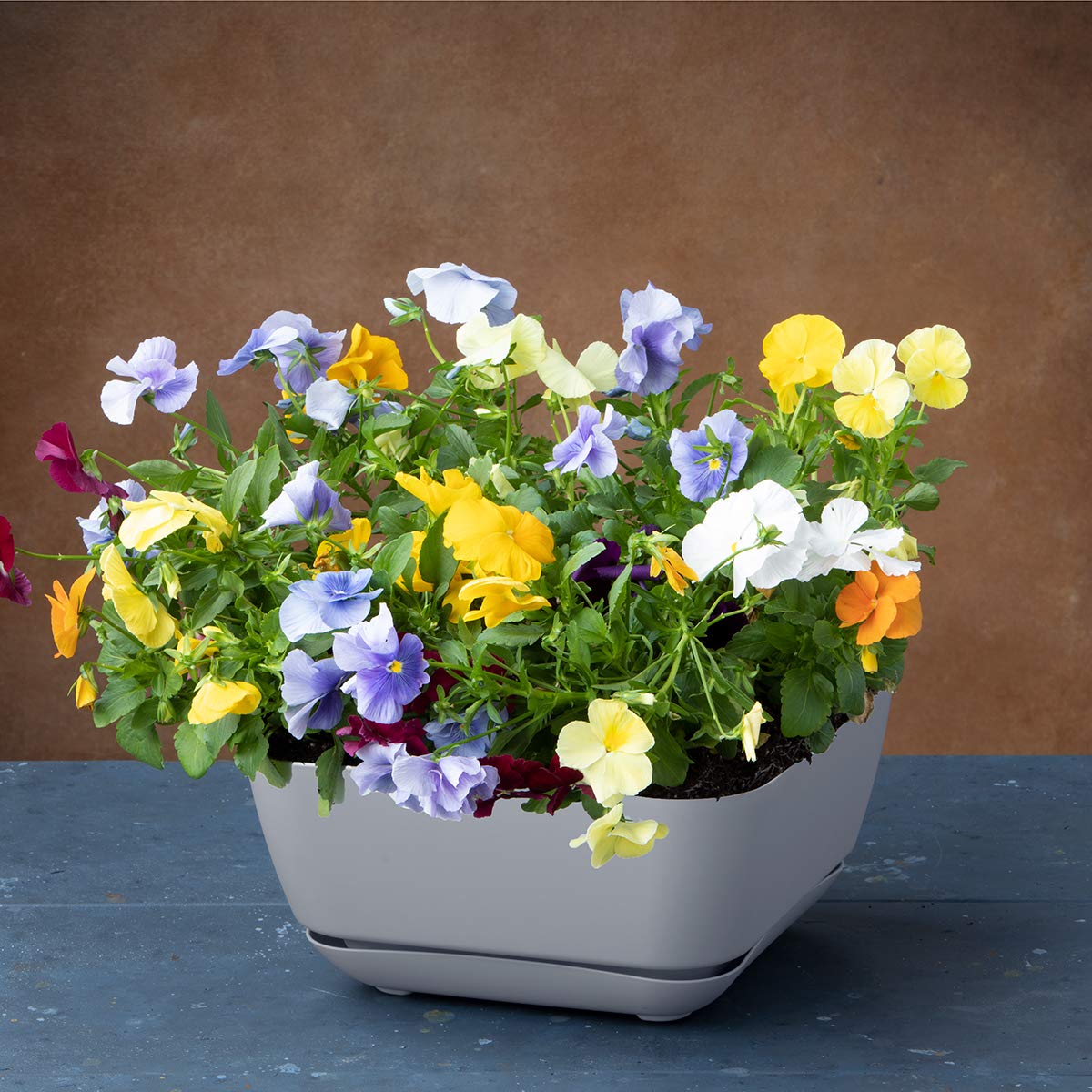 Amazon.com : Novelty 10020 Garden Planter, Gray : Patio